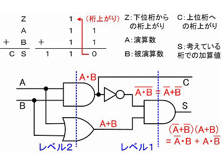 curriculum24.jpg