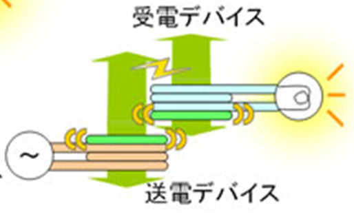福井俊介 研究紹介