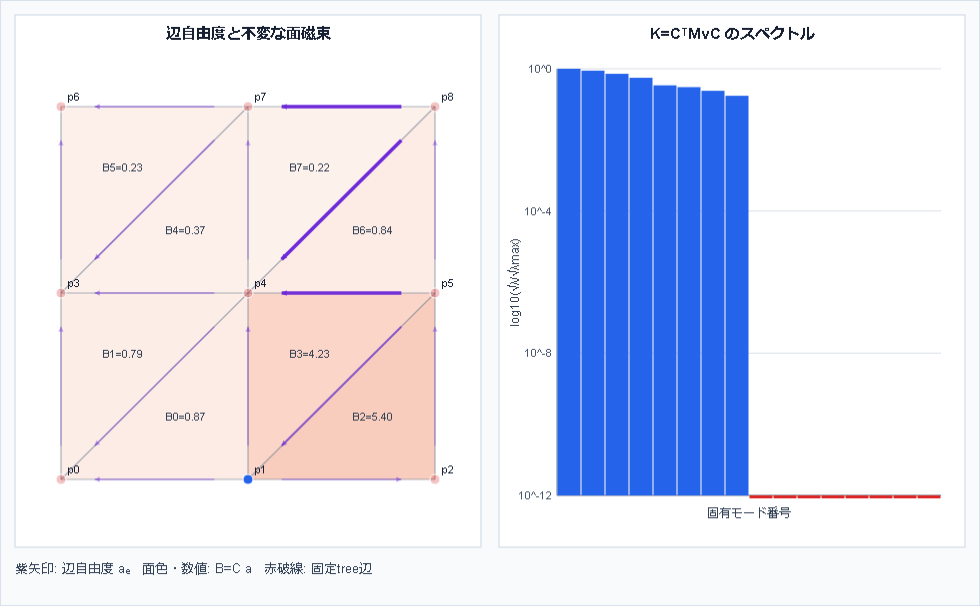 tree-cotree法によるゲージ核除去の動的検算